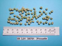Click for 4 image(s) for this accession. Image